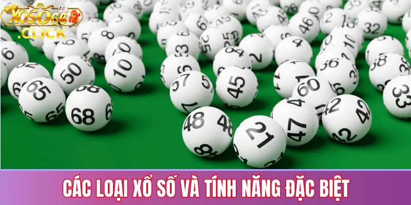 Danh sách các loại xổ số tại Xoso66 và những tính năng hỗ trợ người chơi phân tích kết quả